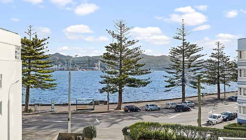 2D/274 Oriental Parade, Oriental Bay
