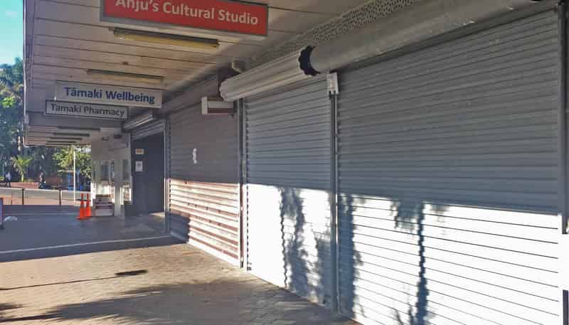 10 Clifton Court, Panmure