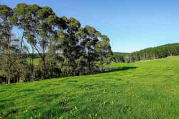 3400A State Highway 2, Waitakaruru