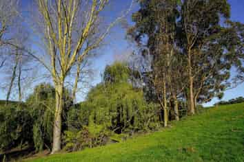 3400A State Highway 2, Waitakaruru