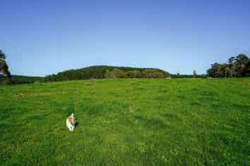 3400A State Highway 2, Waitakaruru