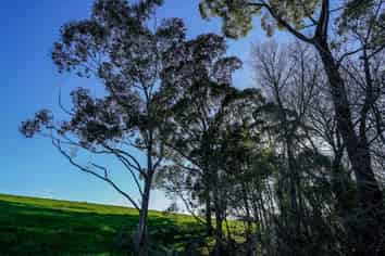 3400A State Highway 2, Waitakaruru