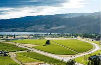 Lot 350 Wooing Tree Estate, 