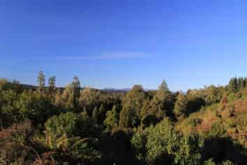 59 Arnold Valley Road, Moana / Lake Brunner