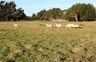 94 Watt Road, Otatara