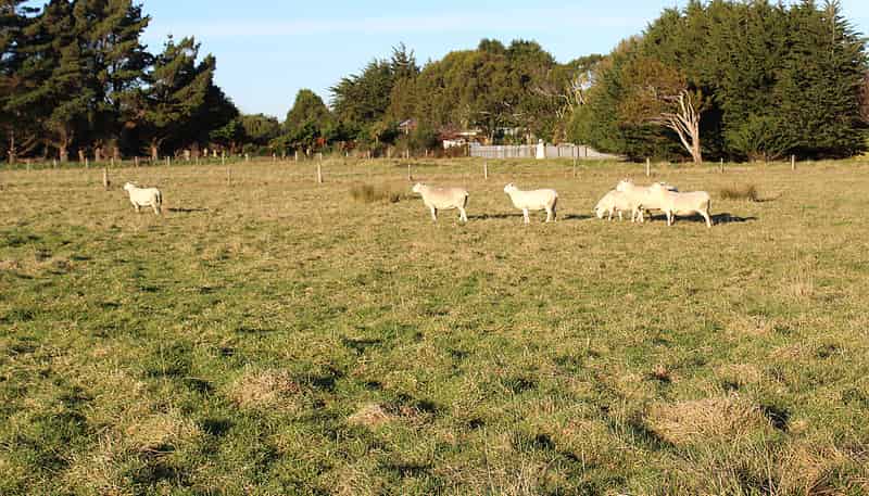 94 Watt Road, Otatara