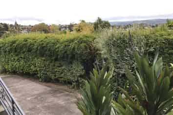 83 SEYMOUR PLACE, Bellevue