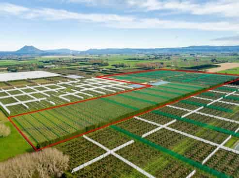 163 Western Drain Road, Edgecumbe