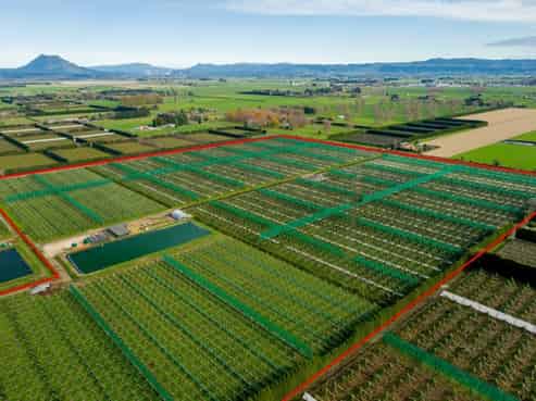 163 Western Drain Road, Edgecumbe