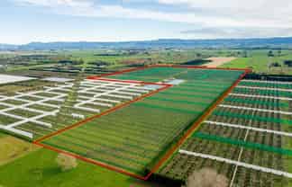 163 Western Drain Road, Edgecumbe