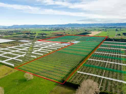 163 Western Drain Road, Edgecumbe