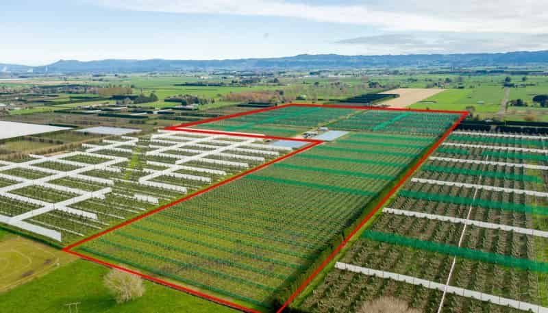 163 Western Drain Road, Edgecumbe