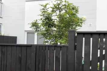 7/72 Kitchener Road, Milford