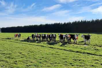  Kerrytown Road, Levels