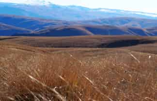  Mt Benger Road, Ettrick