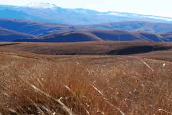  Mt Benger Road, Ettrick