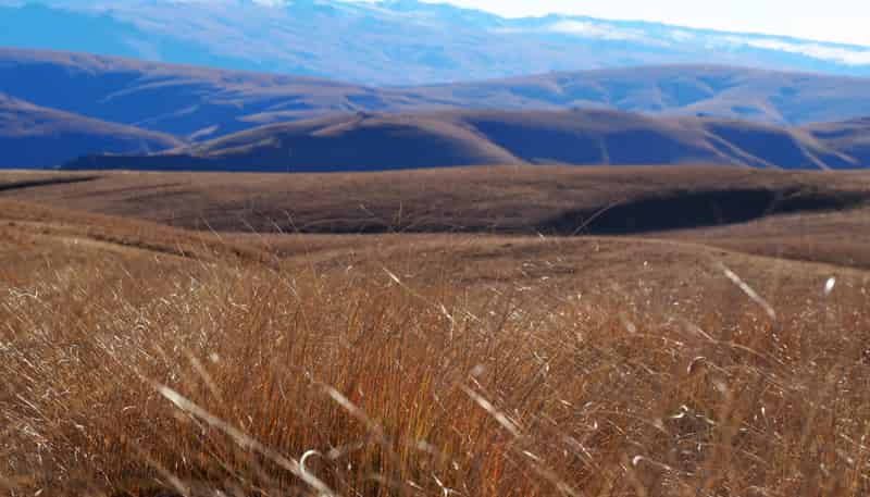  Mt Benger Road, Ettrick
