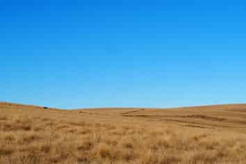  Mt Benger Road, Ettrick