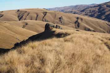  Mt Benger Road, Ettrick