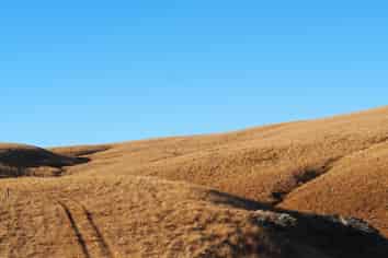  Mt Benger Road, Ettrick