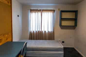 3/125 Carrington Road, Point Chevalier