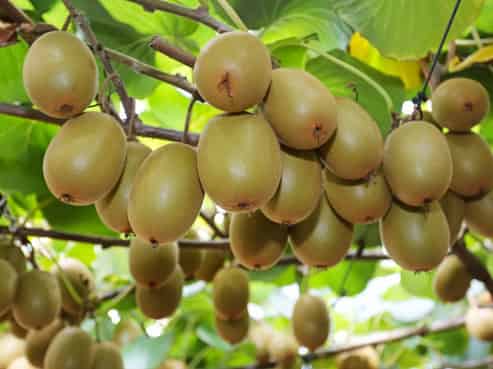 1293 Churchill Road, Pukekawa