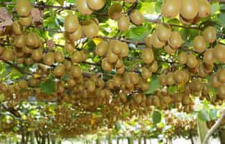 1293 Churchill Road, Pukekawa