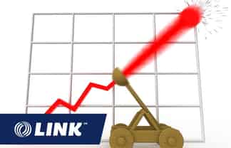 Catapult this Fun, Eco, Lifestyle Business!