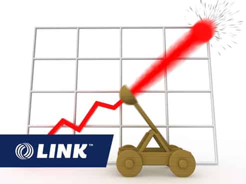 Catapult this Fun, Eco, Lifestyle Business!