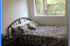 33 Queens Road, Glen Avon