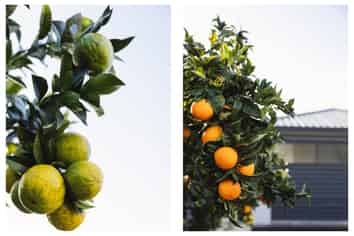 54a Goods Road, Otumoetai