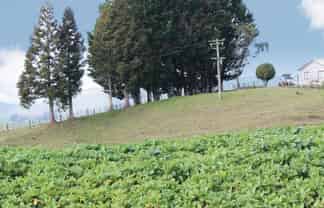 1157 State Highway 32, 