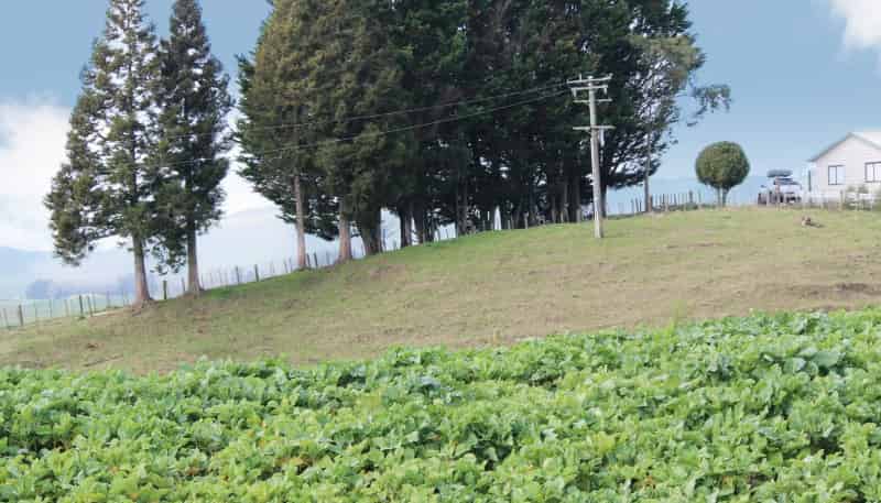 1157 State Highway 32, 