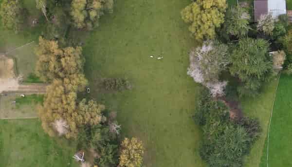 1a Vogel Street, Woodville