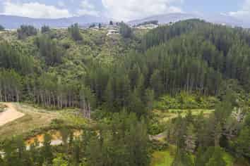 41A Mount Marua Drive, Maymorn