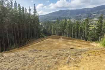 41A Mount Marua Drive, Maymorn