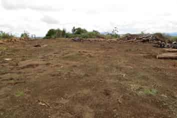 179 Pukewhao Road, Horeke