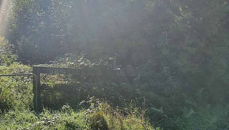 Lot 1 Bower Hill Road, Whataroa