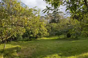 86 Pine Ridge Lane, Katikati