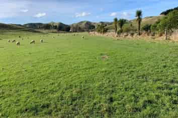 228 Hopelands Road, Woodville