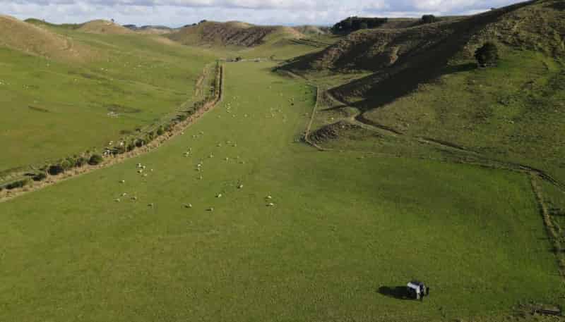 228 Hopelands Road, Woodville