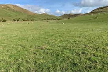 228 Hopelands Road, Woodville