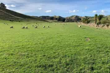 228 Hopelands Road, Woodville