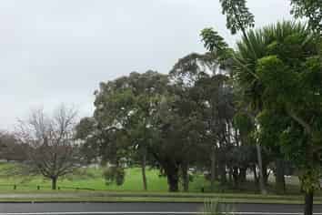 17 Mossford Green, Pahurehure