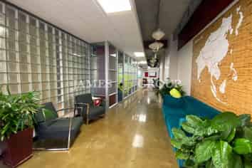 Prime location ~ Jervois Road