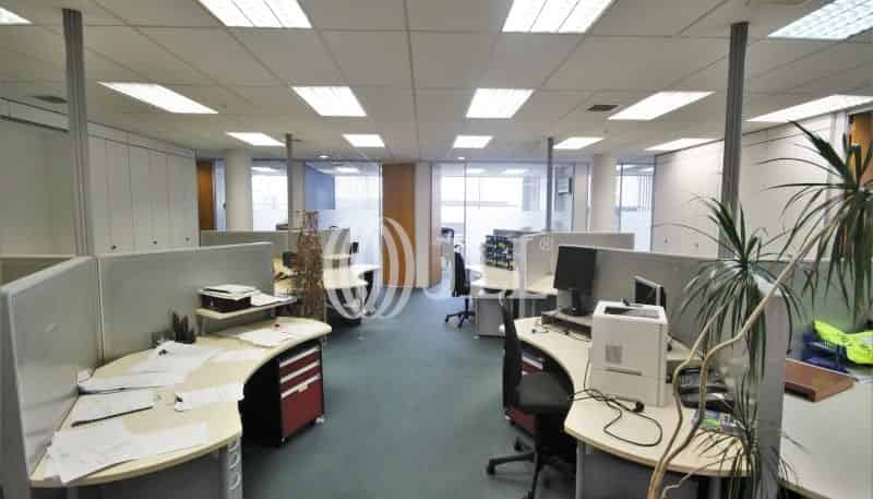 Ground Lev/2 Crummer Road, Mount Eden