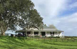 Auckland - Address withheld