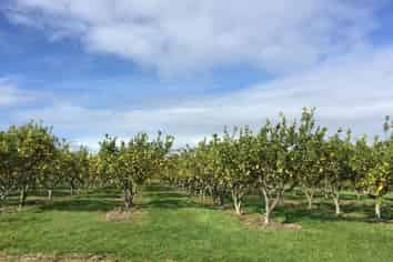 Auckland - Address withheld