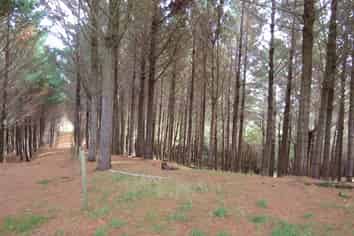 Lot 5 Corlett Road, Tauhoa