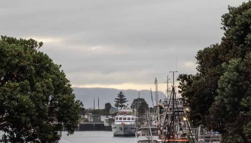 B201-14 West Quay, Ahuriri